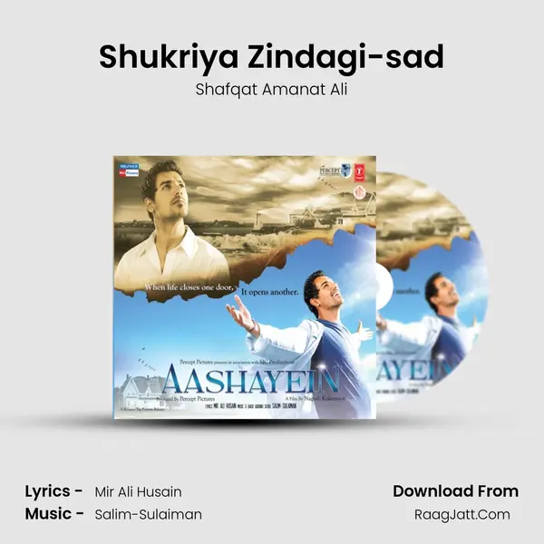 Shukriya Zindagi-sad MP3 Song by Shafqat Amanat Ali Cover