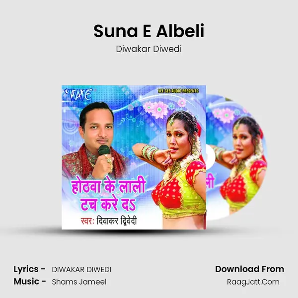 Suna E Albeli MP3 Song by Diwakar Diwedi Cover