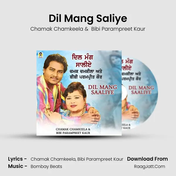 Dil Mang Saliye - Chamak Chamkeela