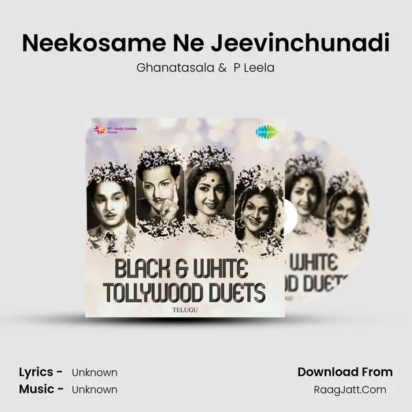 Neekosame Ne Jeevinchunadi Cover