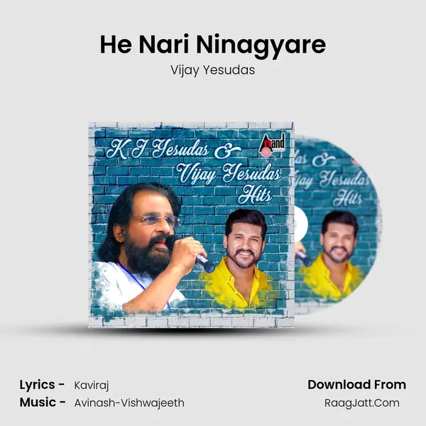 He Nari Ninagyare Cover