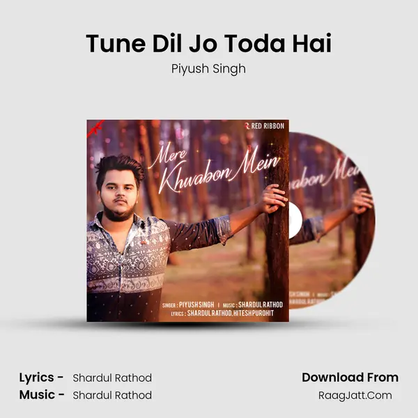 Tune Dil Jo Toda Hai MP3 Song by Piyush Singh Cover