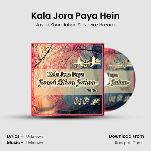 Kala Jora Paya Hein mp3 song