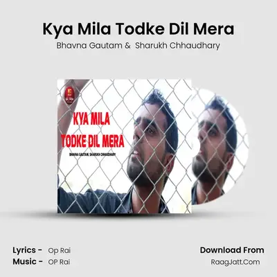 Kya Mila Todke Dil Mera - Bhavna Gautam
