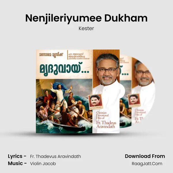 Nenjileriyumee Dukham MP3 Song by Kester Cover