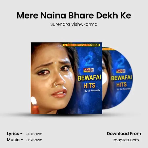 Mere Naina Bhare Dekh Ke MP3 Song by Surendra Vishwkarma Cover