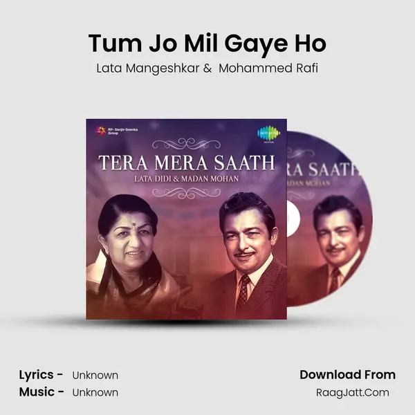 Tum Jo Mil Gaye Ho Cover