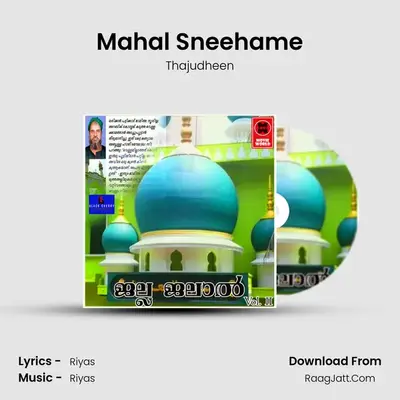 Mahal Sneehame MP3 Song by Thajudheen Cover