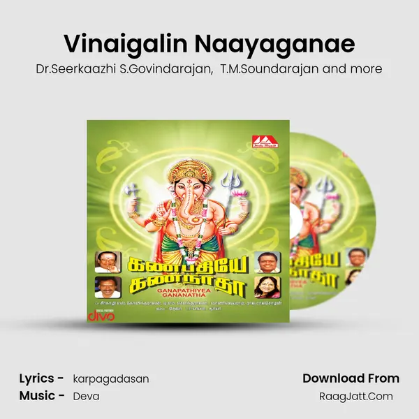 Vinaigalin Naayaganae MP3 Song by Dr.Seerkaazhi S.Govindarajan Cover