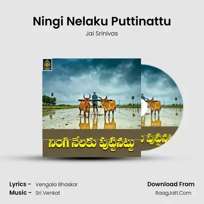 Ningi Nelaku Puttinattu mp3 song
