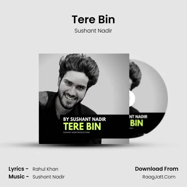 Tere Bin MP3 Song by Sushant Nadir Cover