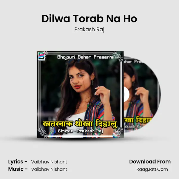 Dilwa Torab Na Ho Cover
