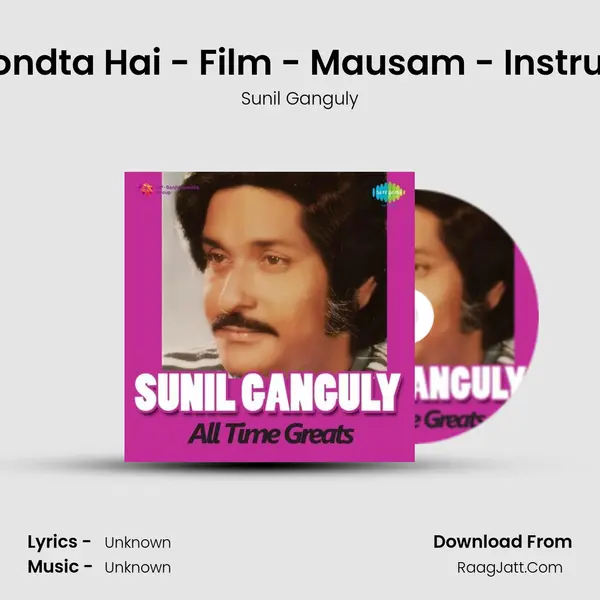 Dil Dhoondta Hai - Film - Mausam - Instrumental MP3 Song by Sunil Ganguly Cover