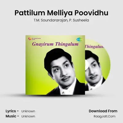Gnayirum Tingalum Tml - T.M. Soundararajan