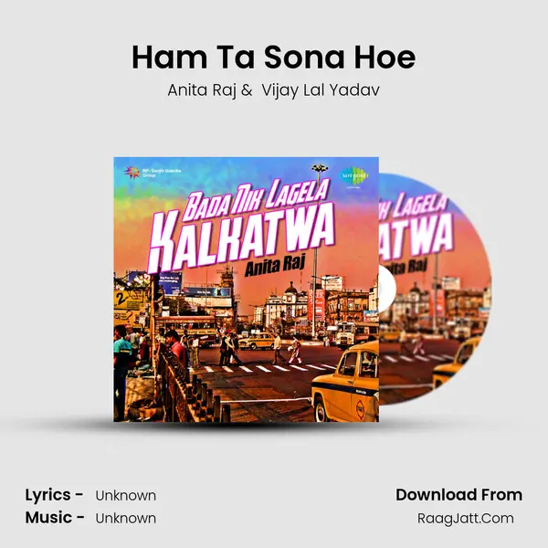 Ham Ta Sona Hoe MP3 Song by Anita Raj Cover