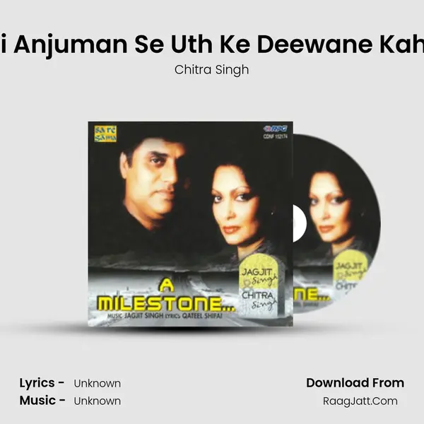 Tumhari Anjuman Se Uth Ke Deewane Kahan Jate MP3 Song by Chitra Singh Cover