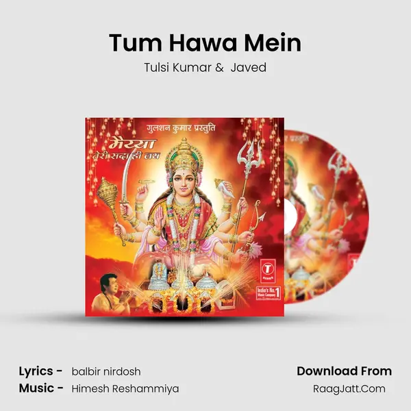 Tum Hawa Mein MP3 Song by Tulsi Kumar Cover