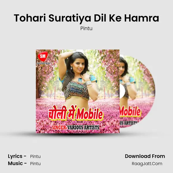 Tohari Suratiya Dil Ke Hamra mp3 song