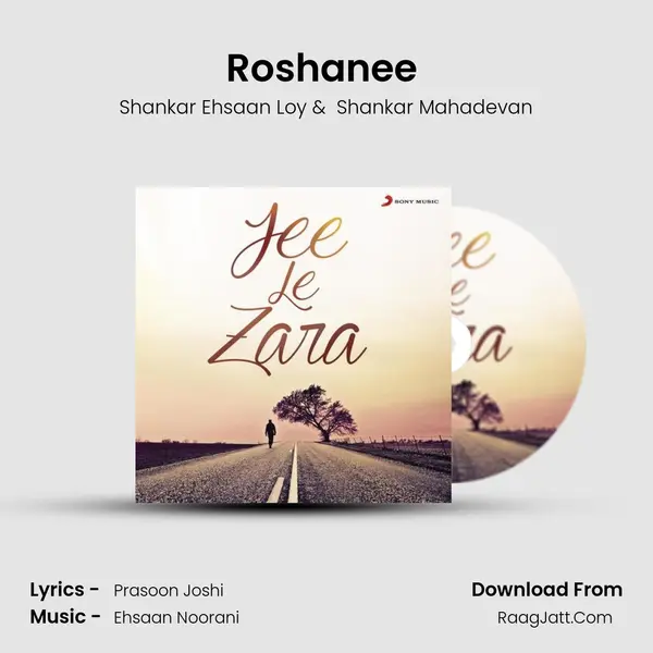 Roshanee (From "Aarakshan") Cover