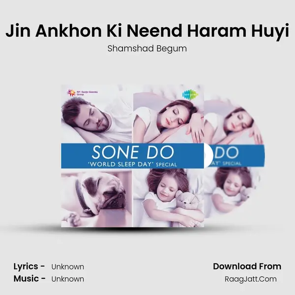 Jin Ankhon Ki Neend Haram Huyi Cover