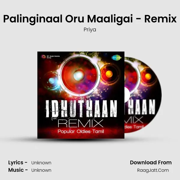 Palinginaal Oru Maaligai - Remix Cover