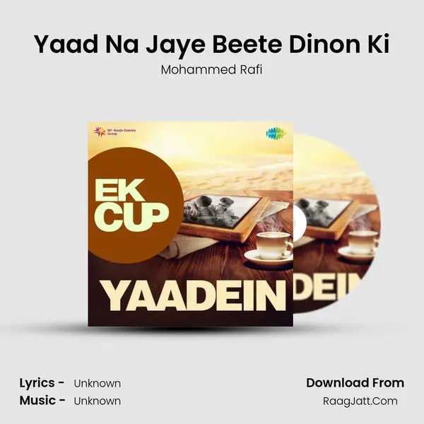 Yaad Na Jaye Beete Dinon Ki Cover