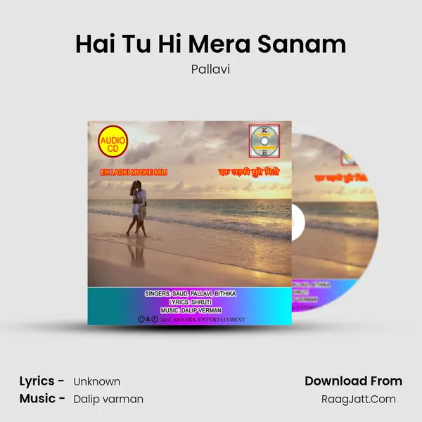 Hai Tu Hi Mera Sanam MP3 Song by Pallavi Cover