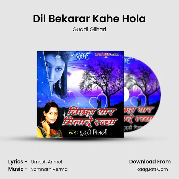 Dil Bekarar Kahe Hola MP3 Song by Guddi Gilhari Cover