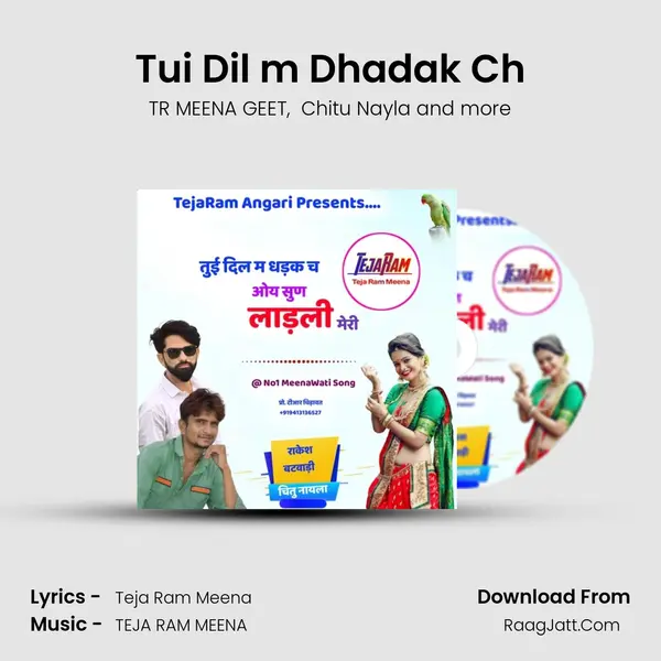Tui Dil m Dhadak Ch MP3 Song by TR MEENA GEET Cover