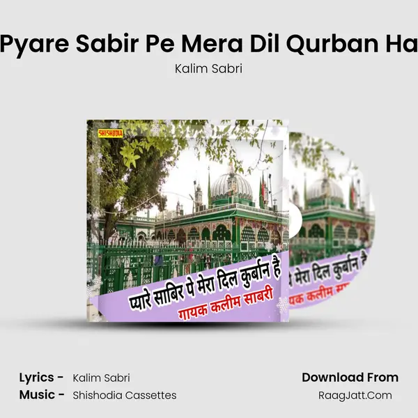 Pyare Sabir Pe Mera Dil Qurban Ha mp3 song