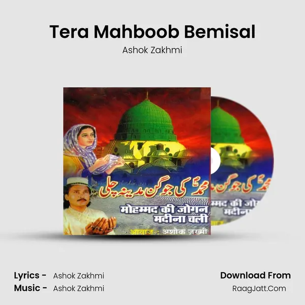 Tera Mahboob Bemisal mp3 song