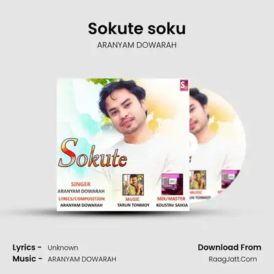 Sokute soku MP3 Song by ARANYAM DOWARAH Cover