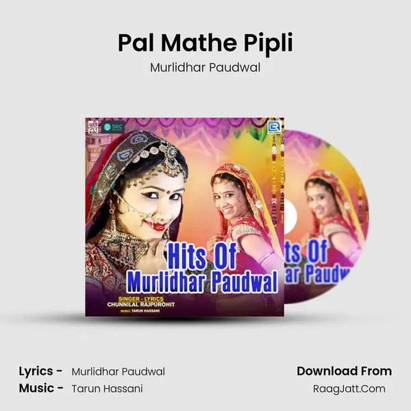 Pal Mathe Pipli MP3 Song by Murlidhar Paudwal Cover