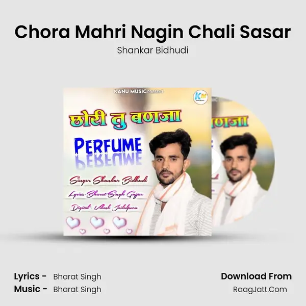 Chora Mahri Nagin Chali Sasar MP3 Song by Shankar Bidhudi Cover