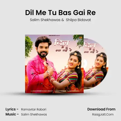 Dil Me Tu Bas Gai Re - Salim Shekhawas