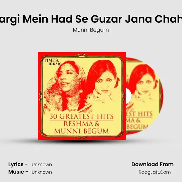 Awargi Mein Had Se Guzar Jana Chahiye Cover