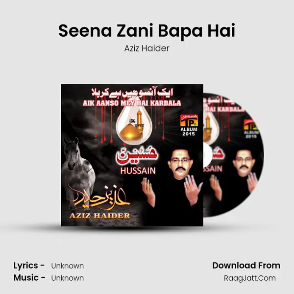 Seena Zani Bapa Hai MP3 Song by Aziz Haider Cover