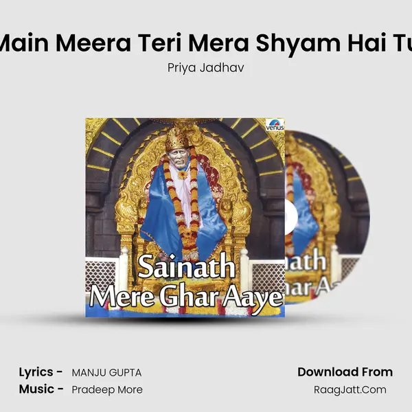Main Meera Teri Mera Shyam Hai Tu mp3 song