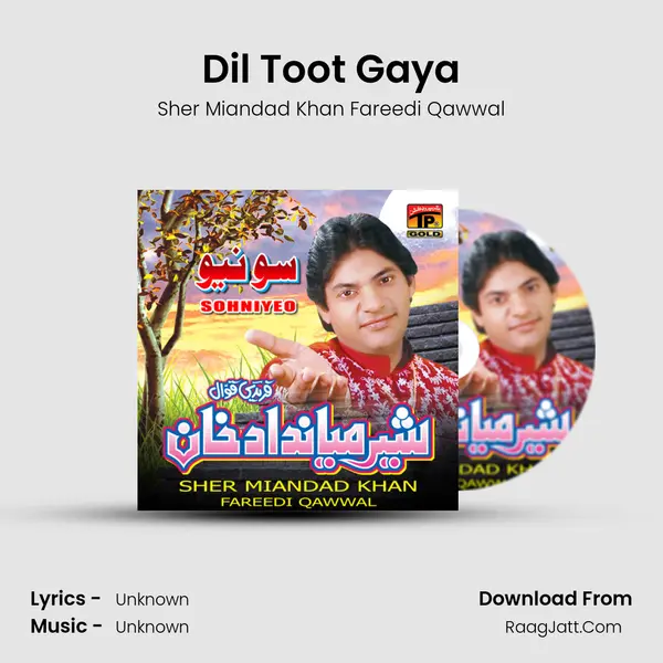 Dil Toot Gaya MP3 Song by Sher Miandad Khan Fareedi Qawwal Cover