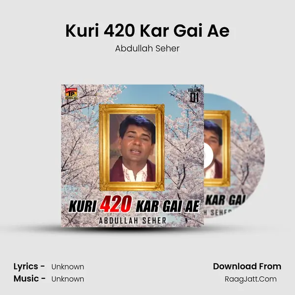 Kuri 420 Kar Gai Ae MP3 Song by Abdullah Seher Cover