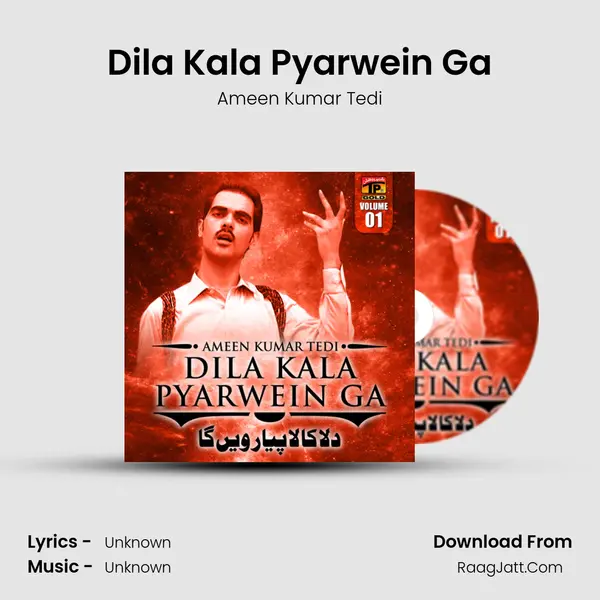 Dila Kala Pyarwein Ga MP3 Song by Ameen Kumar Tedi Cover