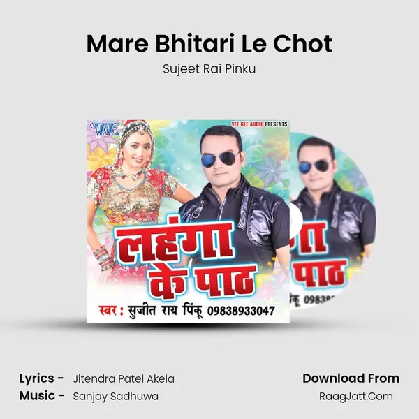 Mare Bhitari Le Chot MP3 Song by Sujeet Rai Pinku Cover