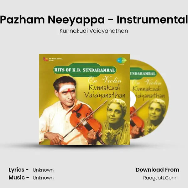 Pazham Neeyappa - Instrumental MP3 Song by Kunnakudi Vaidyanathan Cover