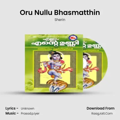 Oru Nullu Bhasmatthin MP3 Song by Sherin Cover