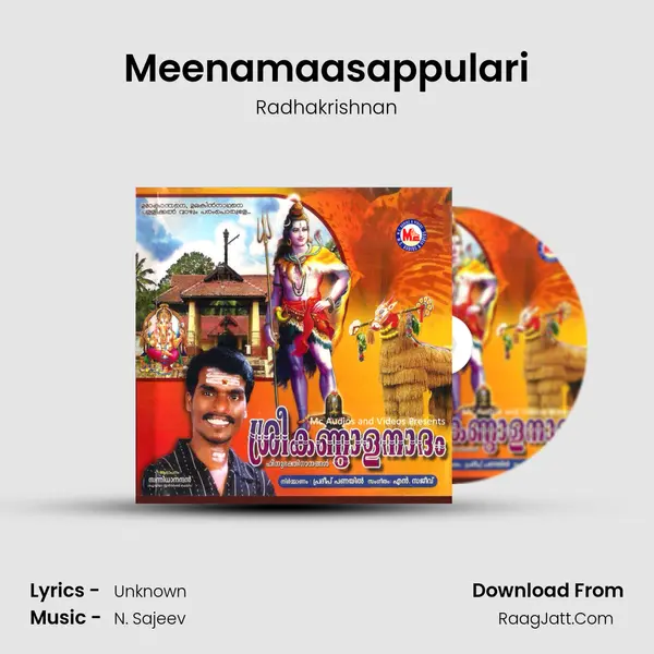 Meenamaasappulari MP3 Song by Radhakrishnan Cover