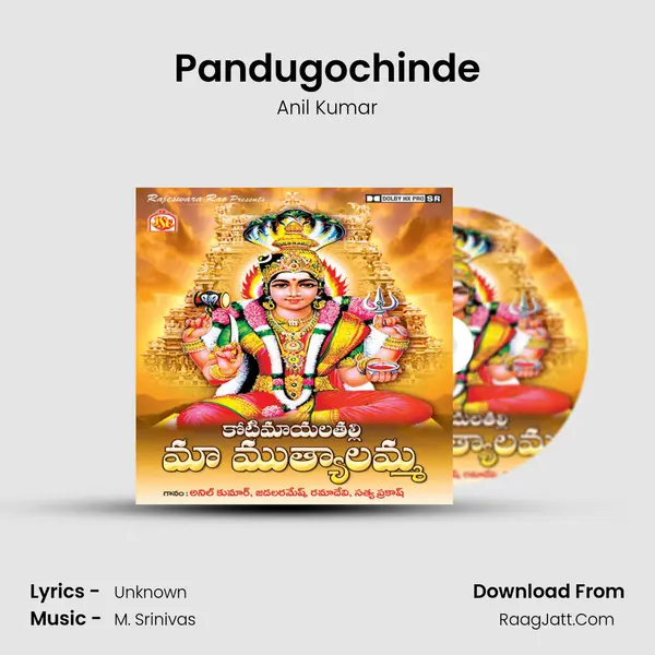 Pandugochinde MP3 Song by Anil Kumar Cover