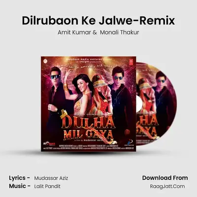 Dilrubaon Ke Jalwe-Remix MP3 Song by Amit Kumar Cover