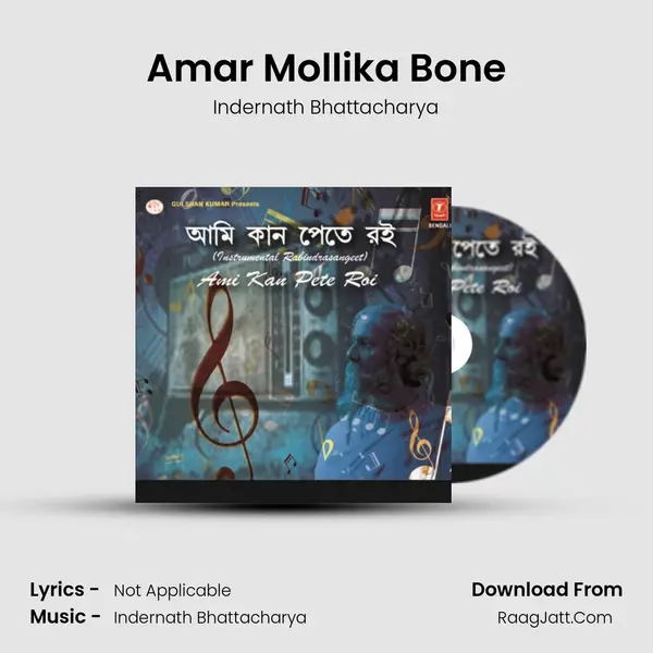 Amar Mollika Bone MP3 Song by Indernath Bhattacharya Cover