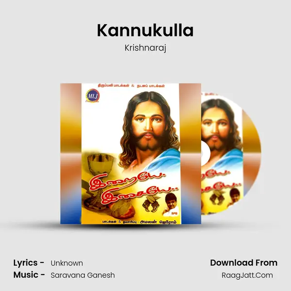 Kannukulla MP3 Song by Krishnaraj Cover
