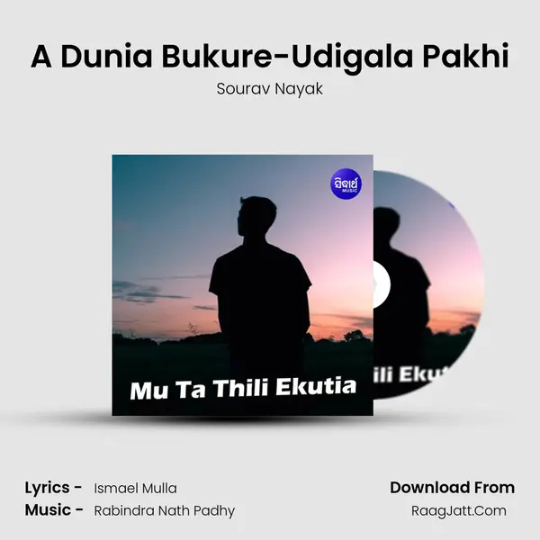 A Dunia Bukure-Udigala Pakhi MP3 Song by Sourav Nayak Cover